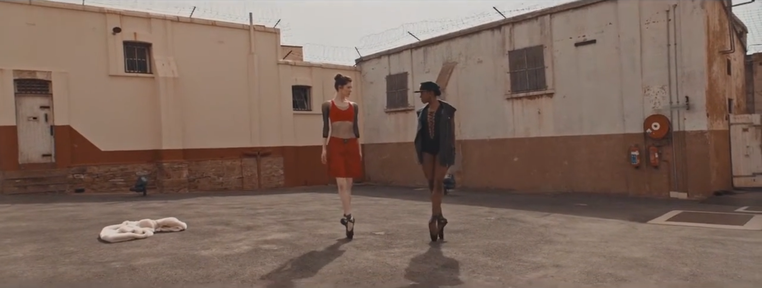 The Money Fight – Joburg Ballet